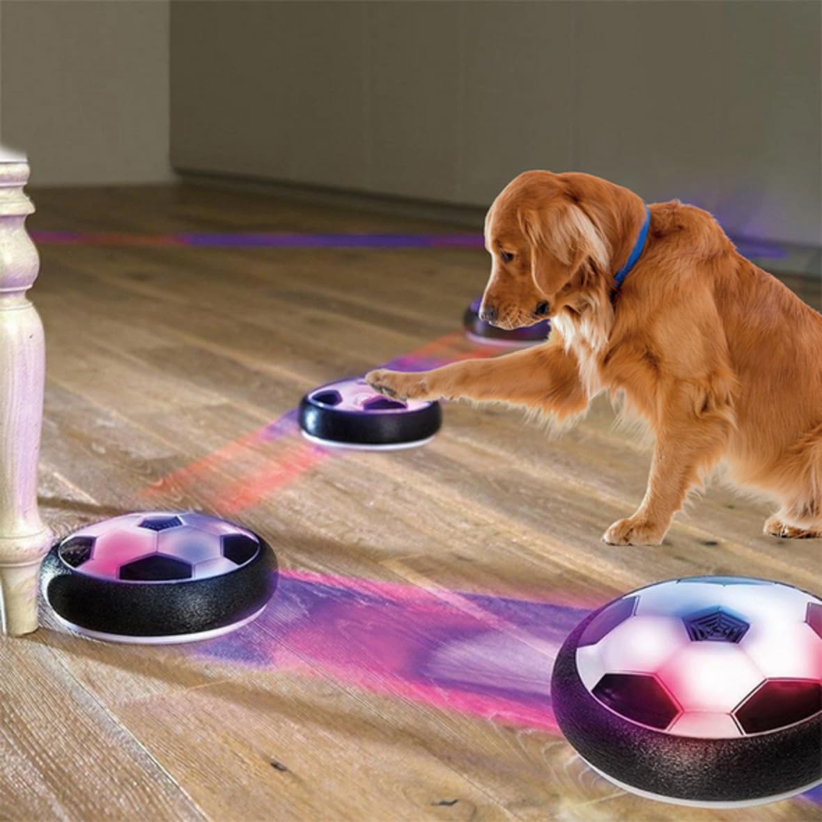 TTEDMO Active Gliding Disc - with Cool Lighting Effects,Active Gliding Disc Dog Toy,2023 New Active Gliding Disc (White LED Light)