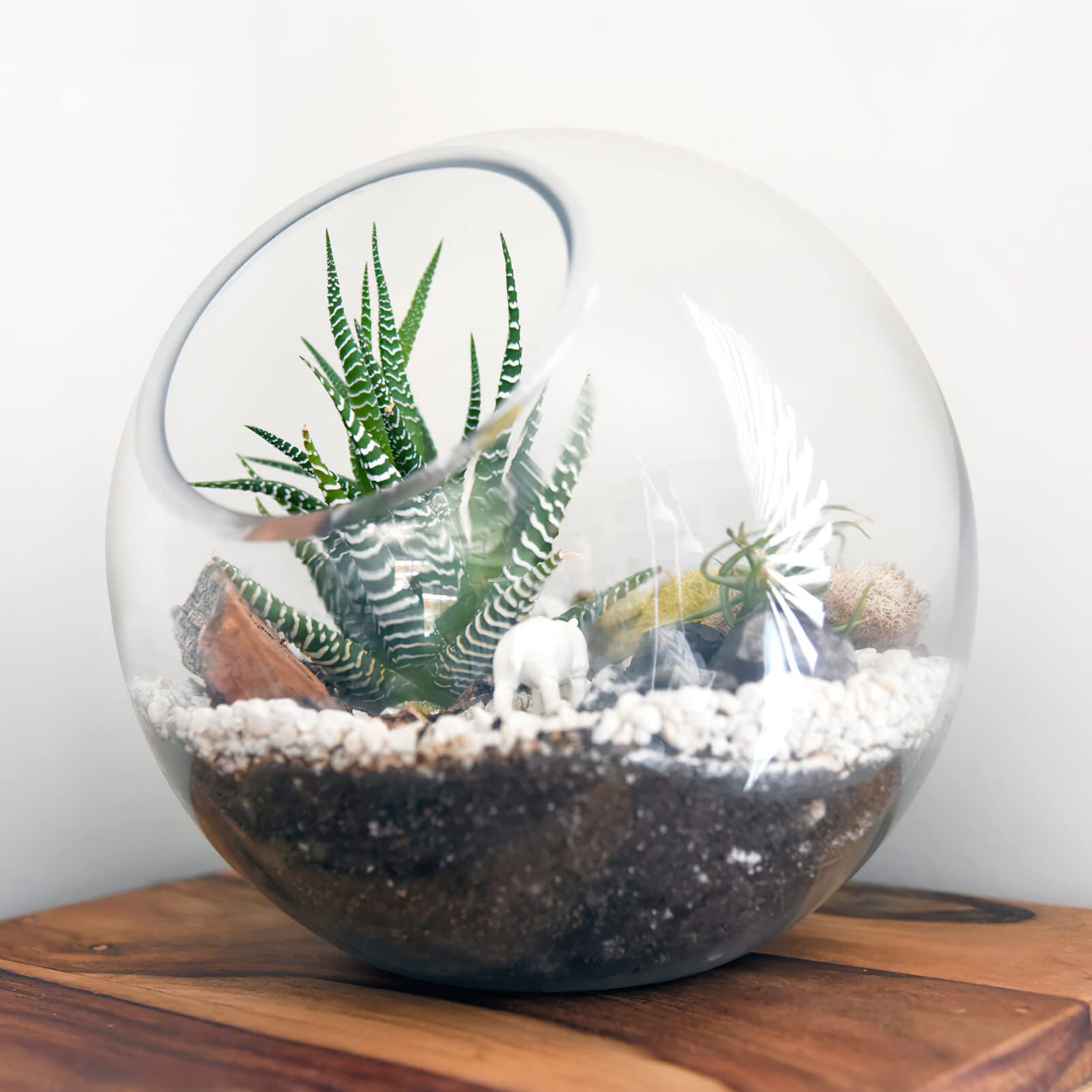Alipis Terrario de Vidrio Chic para Plantas Fácil de Mostrar, 3 Piezas Redondas Ideales para Decoración del Hogar y Proyectos DIY en Fiesta Verano
