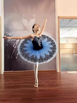 Amazon.co.jp: プロフェッショナル バレエ チュチュ ドレス