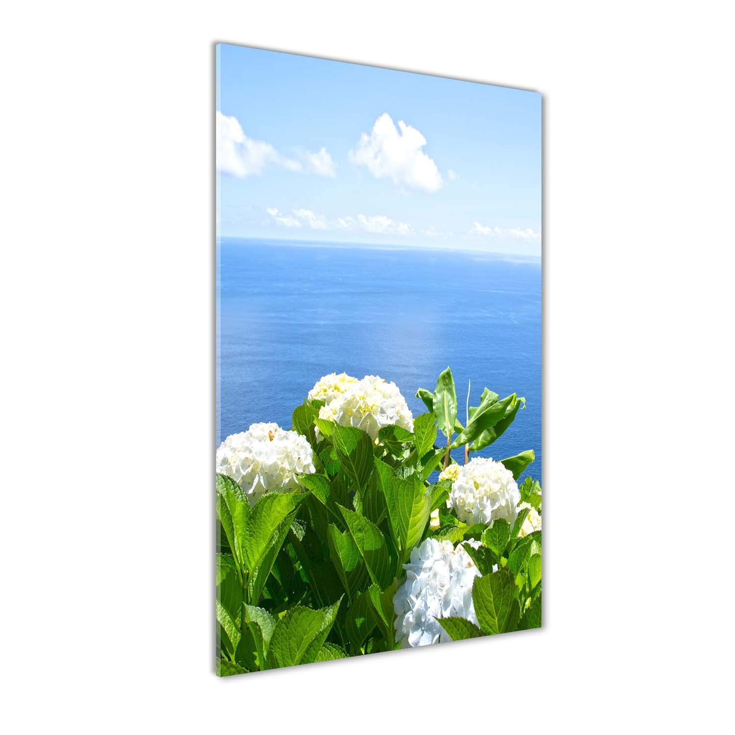 Image Paysage Mer d'Hortensia Impression sur Verre Tulup Évasion Végétale pour le Salon