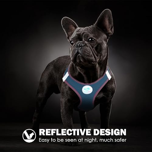 Miniatura 5 de PHOEPET Arnés para perro, arnés reflectante ajustable para perro, chaqueta suave para caminar para mascotas con 2 ganchos de metal para correa para