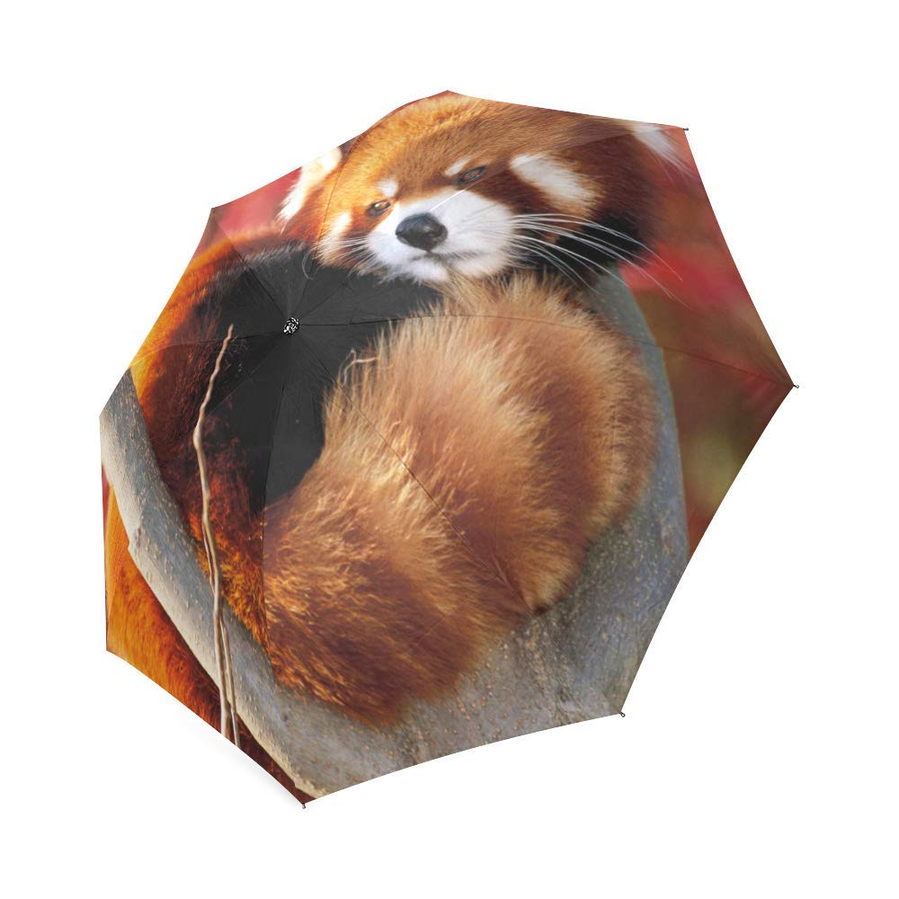 Rainbrella True Grip Black/White 52 in. Dia. Golf Umbrella - Total Qty: 32; Each Pack Qty: 1