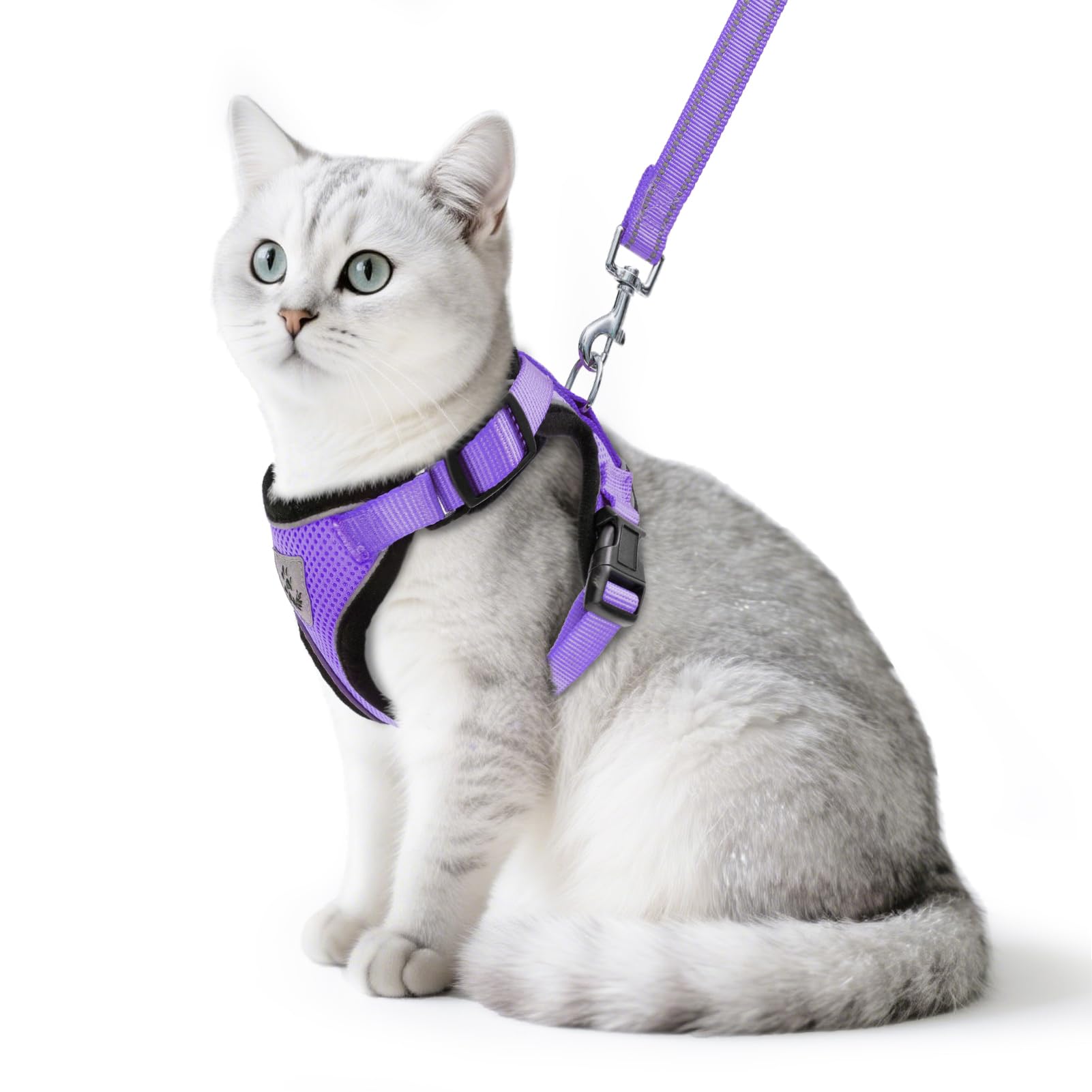 PUPTECK Katzengeschirr und Leine Set Flucht Beweis Reflektierende Katze Walking Geschirr Einstellbare weiche atmungsaktive Mesh-Weste für kleine Haustiere, lila, S