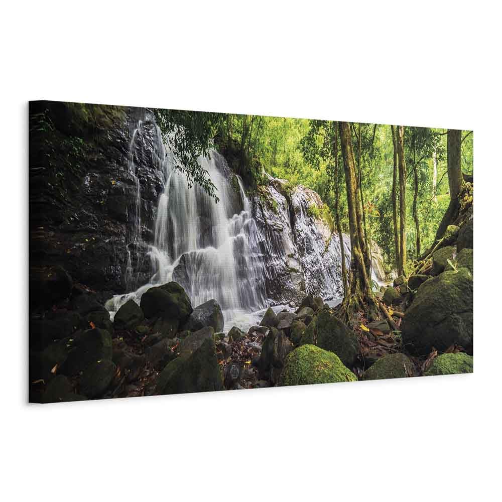 murando - Akustikbild Akustikbild Grüner Bach, 150x50 cm, 1-teilig, Büro