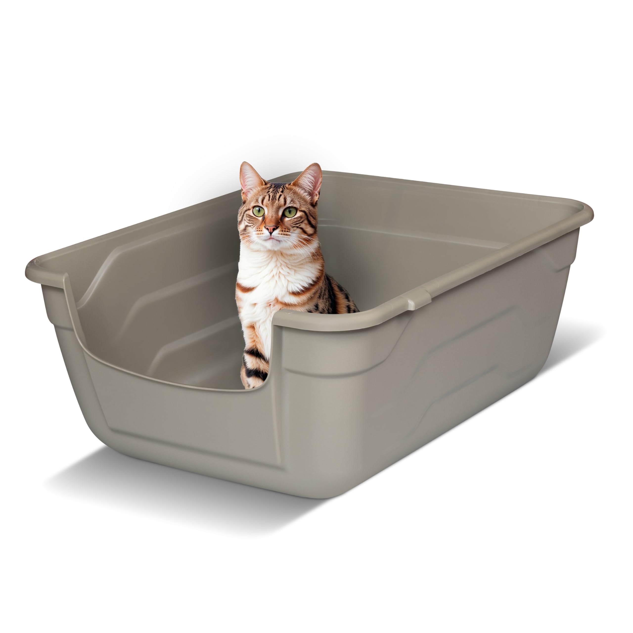 Bac à Litière pour Chat avec Bords Hauts - L - Litière Ouverte - Facile à Nettoyer - Gris 50 x 38,5 cm