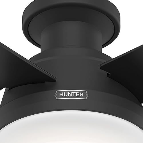 Miniatura 10 de Hunter Ventilador de techo interior de 44 pulgadas con luz LED y control remoto, ventilador de techo moderno negro, montaje de perfil bajo, 4 aspas,