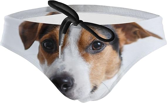 Amazon Co Jp メンズショーツ 犬のビーグルペット セクシー ブリーフ スイミングパンツメンズ下着 サマーショーツ 快適で通気性 ファッション