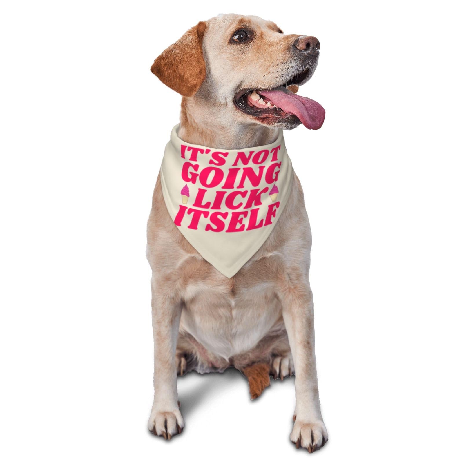 It's Not Going to Lick Itself Dog Scarf Pet Bandana Cat Pet Bibs