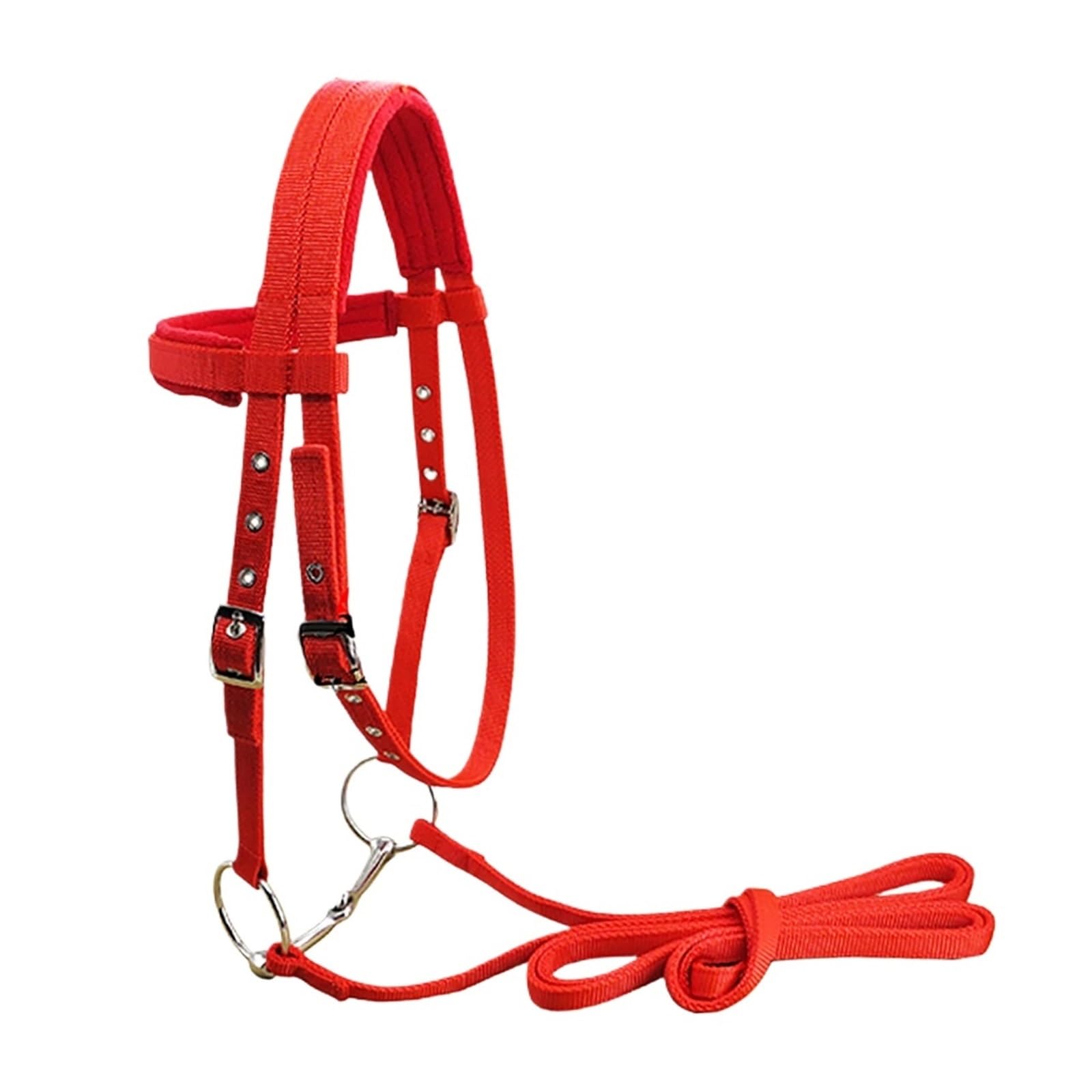 Durevole Briglia for Cavallo Rein Testata for Cavallo 20 mm Fettuccia in PP Cavezza Ispessita Attrezzatura equestre for Allenamento di Equitazione all'aperto per Cavalli(Red M)