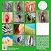2024 Gag Gift Calendar, Nature Exposed Calendar, Nature Images, Hangable Monthly Wall Calendar, White Elephant Gift, Funny Prank Gift, Bachelor Party Gift, 12