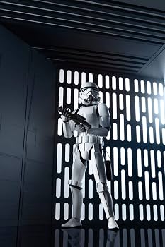 Amazon | スター・ウォーズ ストームトルーパー 1/6スケール