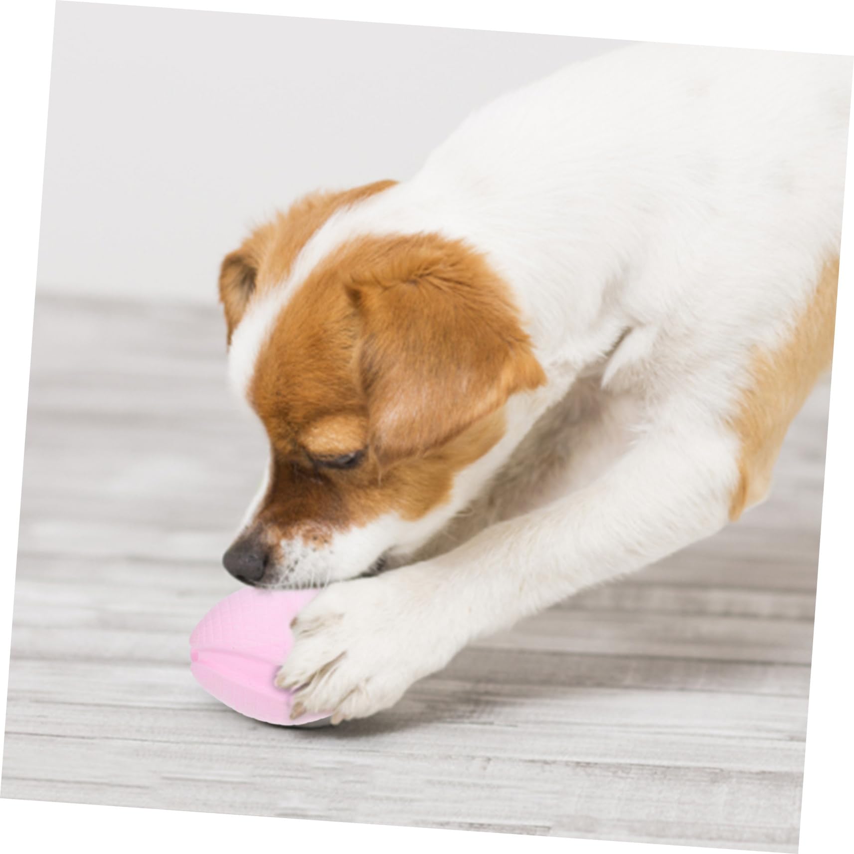 Toddmomy 5pièces Jouet à Mâcher pour Chiot Flottant Accessoire De Dentition Pratique pour Chiens pour Jeu Prévention des Dégâts Maison