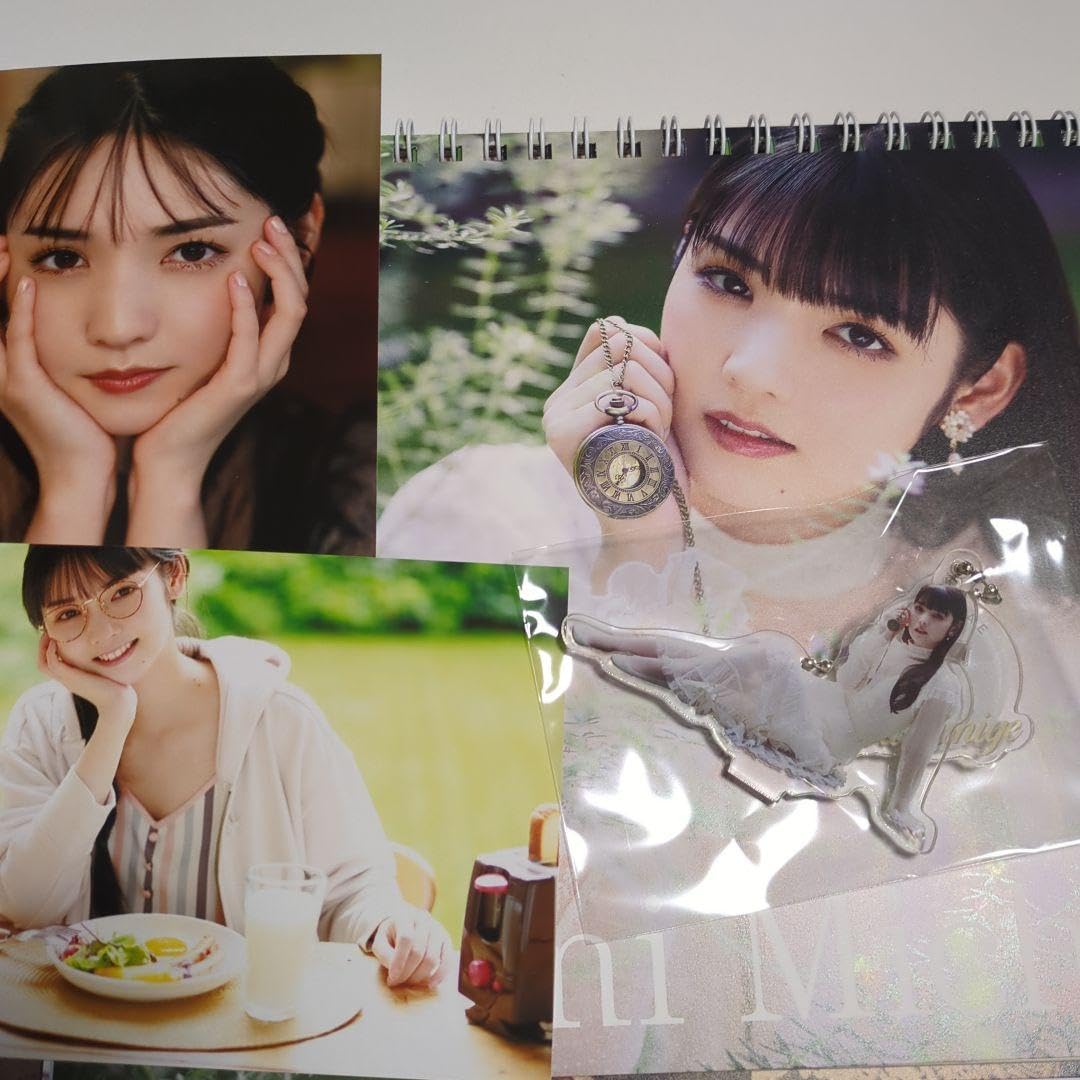 Amazon.co.jp: 道重さゆみ カレンダー 2024 予約特典 アクリルスタンド  