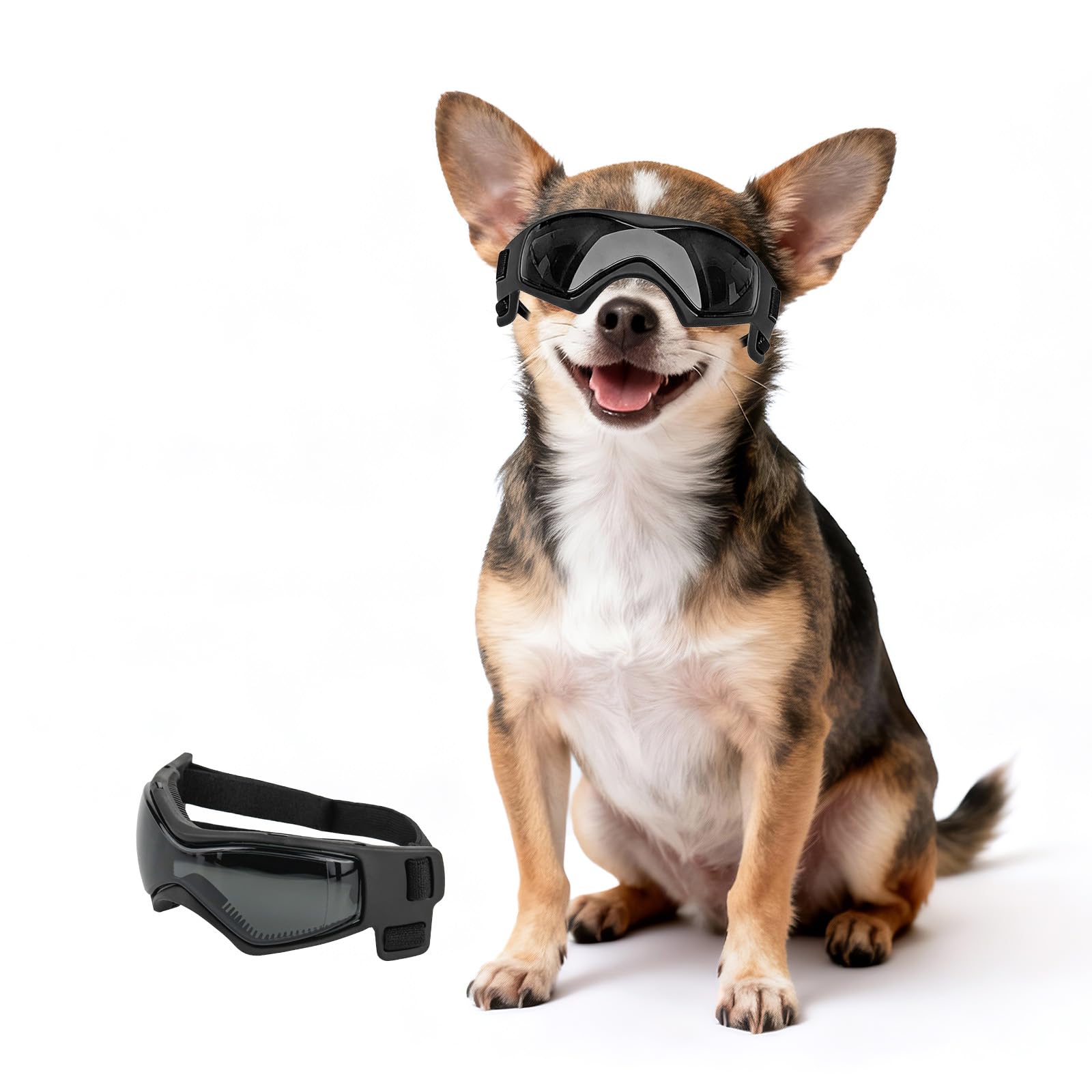 Amazon | PETLESO超小型犬用ゴーグル、犬用サングラス、チワワ専用 UV