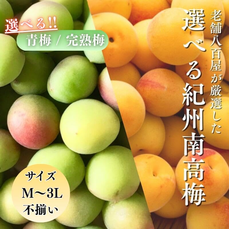 Amazon.co.jp: [みさわのやさい] 南高梅 生梅 青梅 訳あり サイズ混合