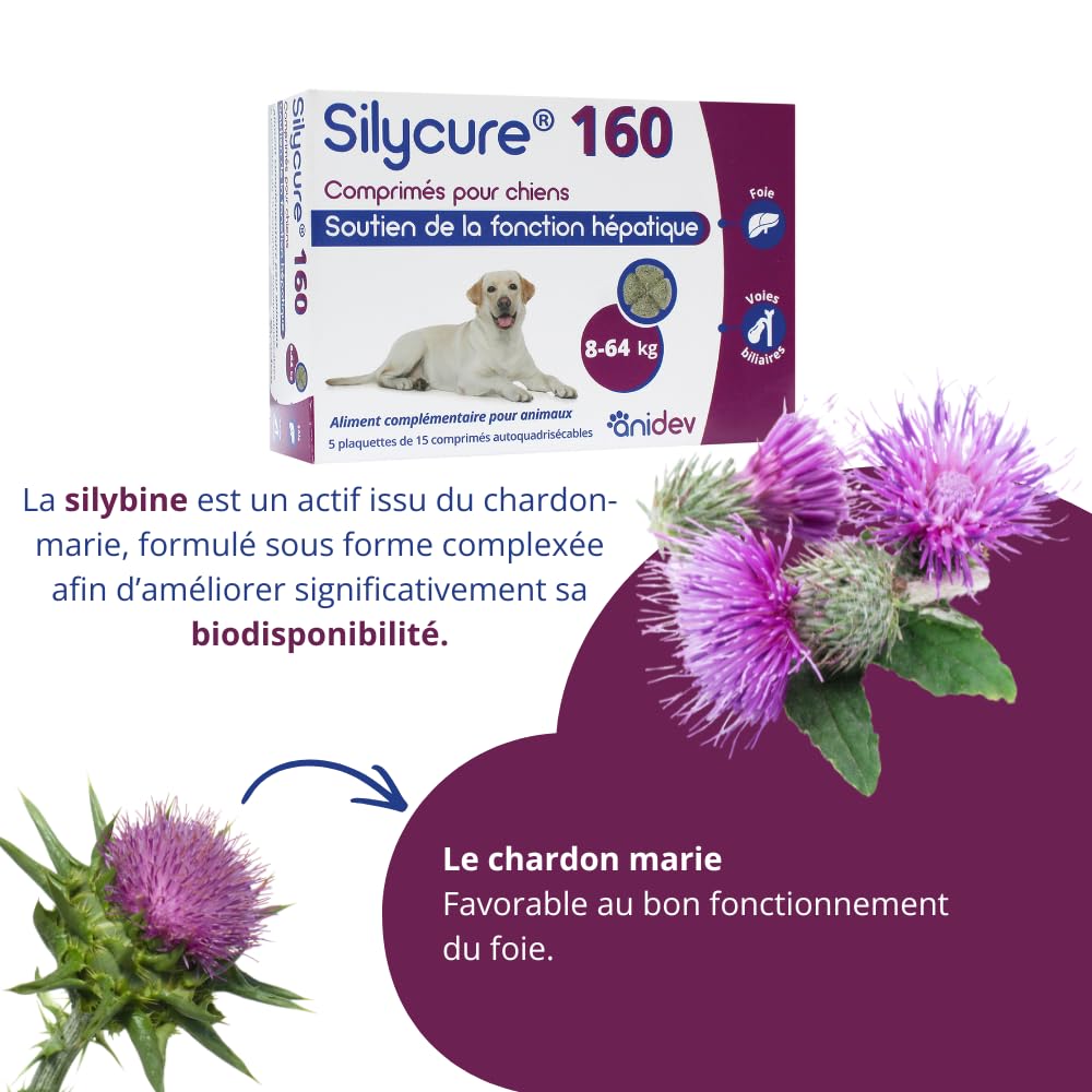 ANIDEV Silycure 160 - Aliment complémentaire Soutien Fonction hépatique Chien - Silybine Chardon Marie - Comprimés appétents quadrisécables - 75 comprimés