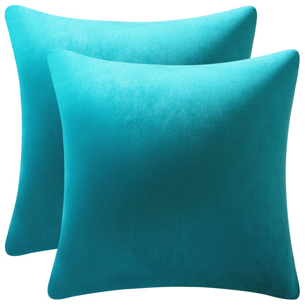 DEZENE Euro Sham Covers 24x24 Turquoise: Pack of 2 Cozy Soft Velvet Square Modern Luxury Decorative Throw Pillow Cases for Sofa Couch Living Room Bed