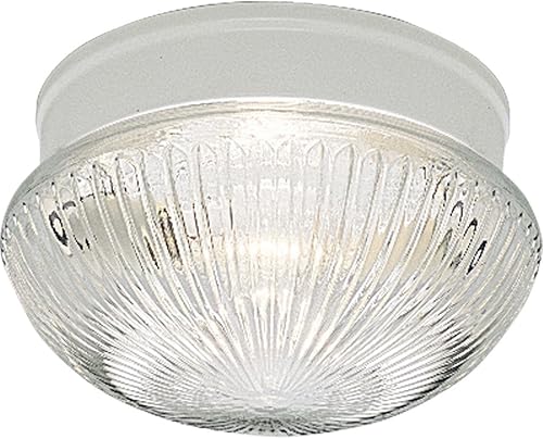 Progress Lighting 2 luces 9-1/2" cerca del techo, colección Fitter, Interior, P3406-30, blanco