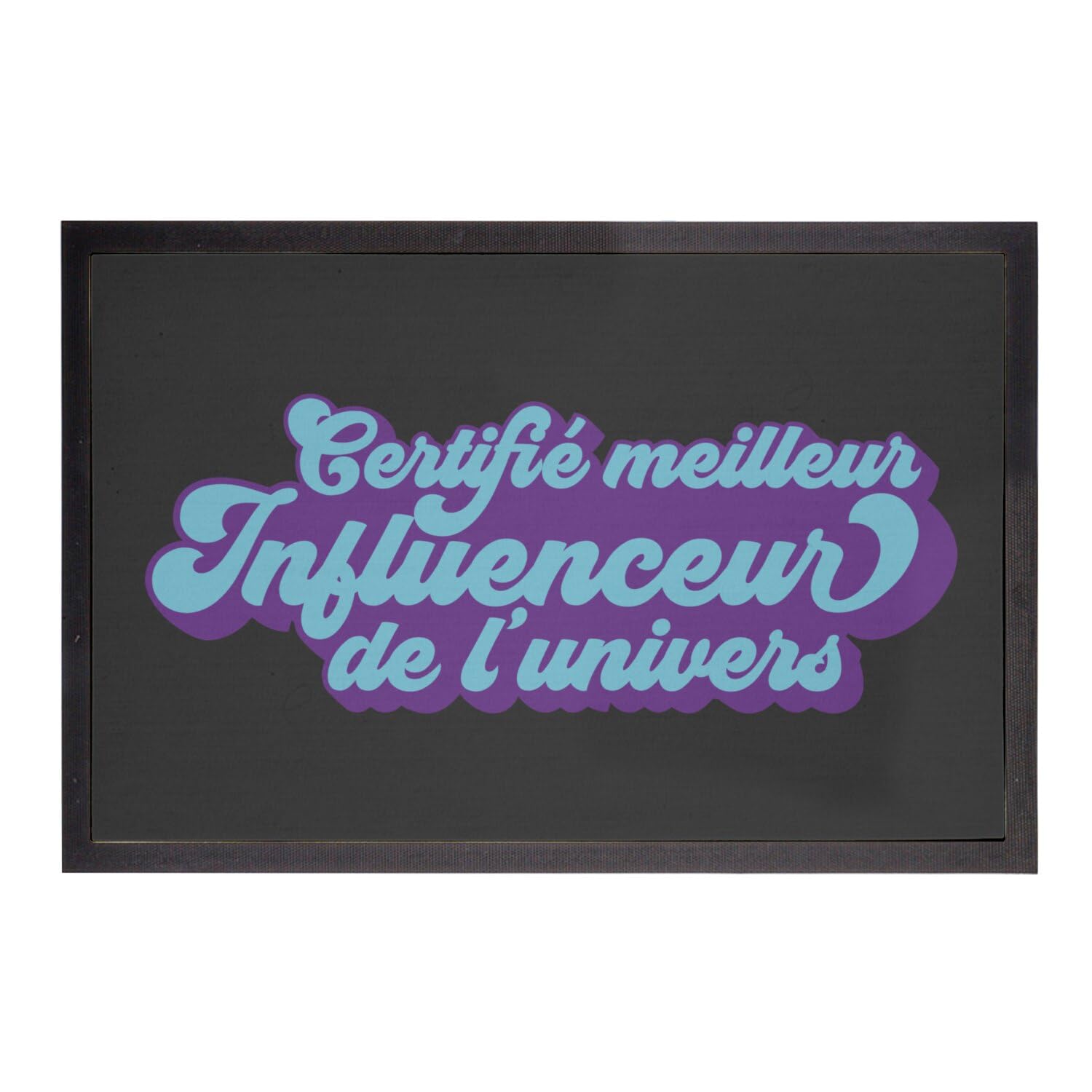 Paillasson noir anti-saleté grand format 75x50cm entrée propre humour