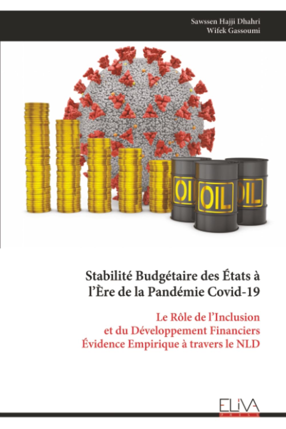 Stabilité Budgétaire des États à l’Ère de la Pandémie Covid-19: Le Rôle de l’Inclusion et du Développement Financiers Évidence Empirique à travers le NLD
