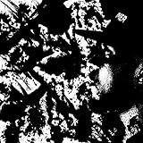 The Gaudium International Music House