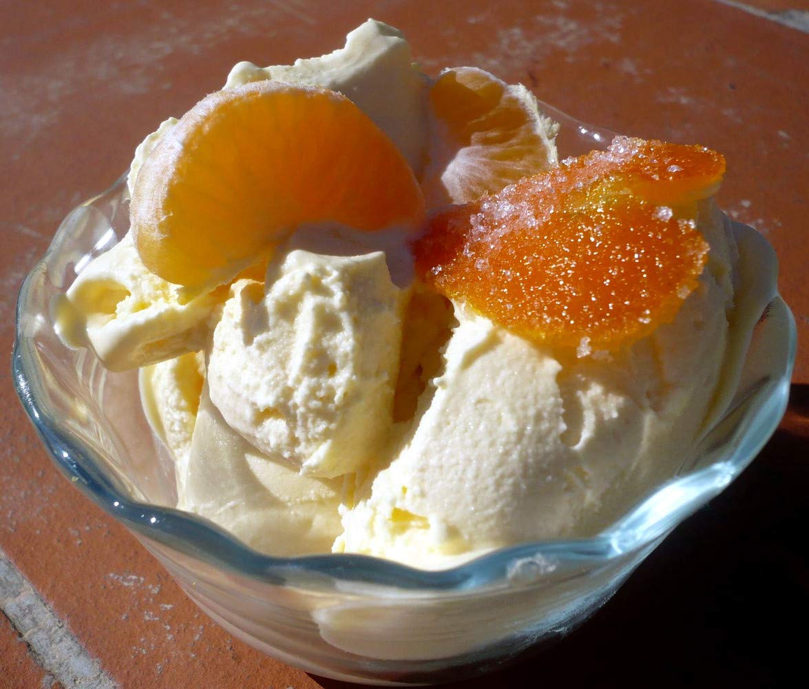 kg 1,25 Prodotto Pronto per Gelato O Sorbetto al Gusto Mandarino per GELATERIA Prodotto Completo Tangerine Ice Cream