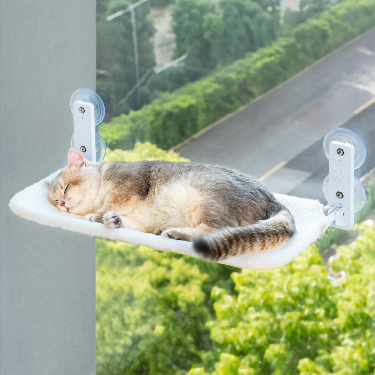 Hamaca para gatos plegable inalámbrica para ventana con 4 ventosas, marco resistente para ventanas de vidrio y paredes interiores, color blanco, 52 x 30 cm, soporta hasta 20 kg