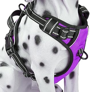 PoyPet No Pull Dog Harness, Reflective Vest Harness with Front & Back 2