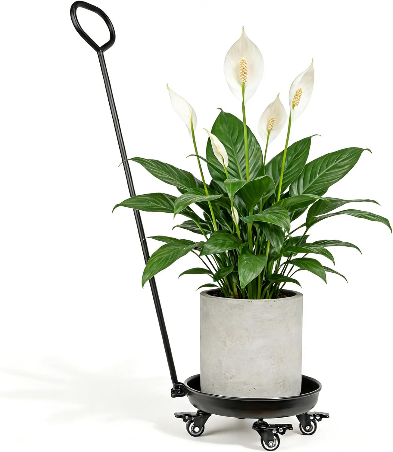 20-Inch Heavy-Duty Plant Dolly with Locking Wheels – Large Rolling Planter Base for Indoor/Outdoor Use, 200 lb Capacity, Durable Steel Construction & Waterproof Tray