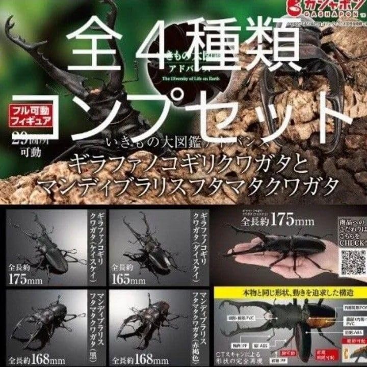 ギラファノコギリクワガタとマンディブラリスフタマタクワガタ