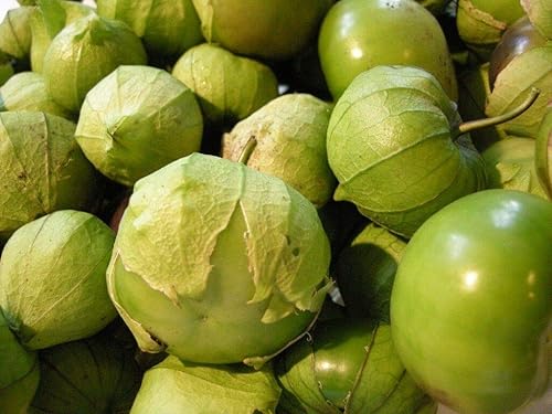 Miniatura 2 de 300 semillas de tomatillo verde para plantar 0.02oz de semillas, tomatillo verde, sin OMG, cosechado en Estados Unidos