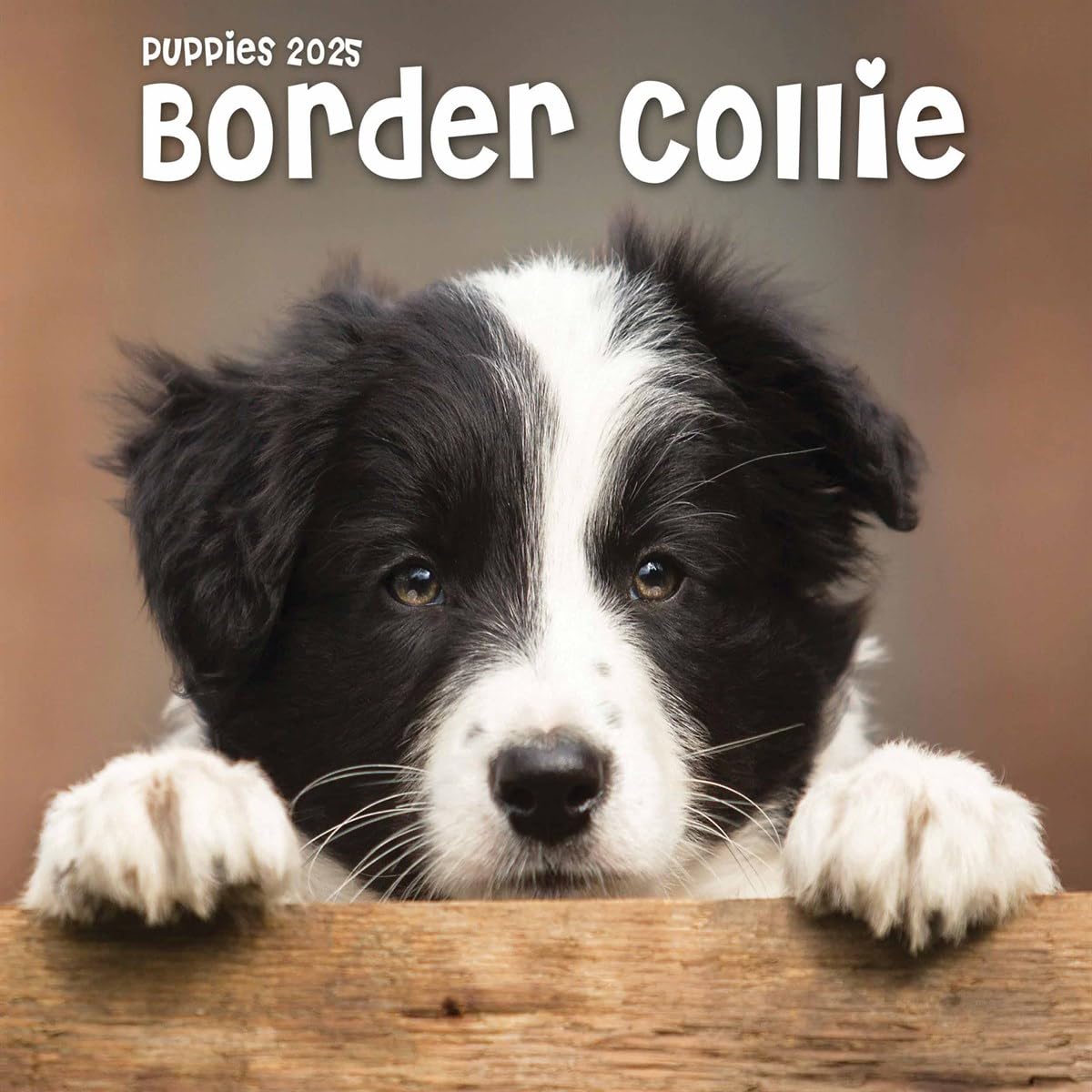 Border Collie Puppies Square Mini Calendar