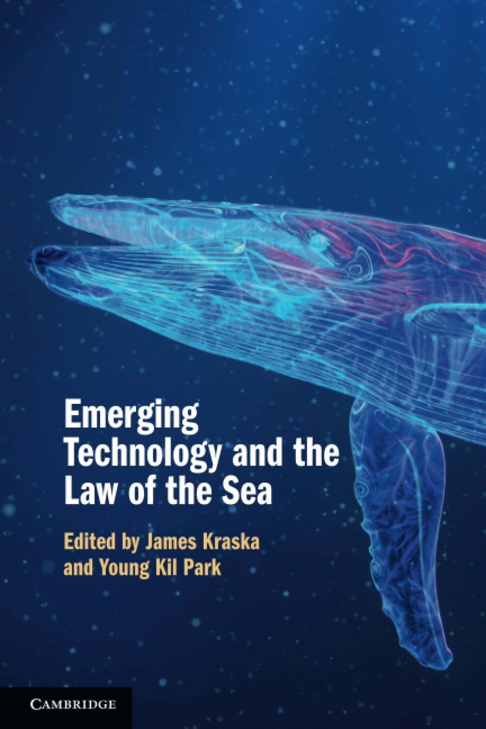 Buy Emerging Technology and the Law of the Sea — BookShops.in
