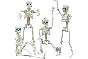 Halloween Skeleton