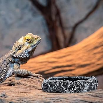 ももたんさま専用　爬虫類シェルター+水入れ Amazon | ENN LLC カメ用浮島 爬虫類シェルター ひなたぼっこ