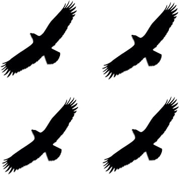 Pack of 4-3 Stickers - Hawk Shape Vinyl Sticker - Sticker for Scrapbooks Laptops Cell Phones Car Waterbottle Etc