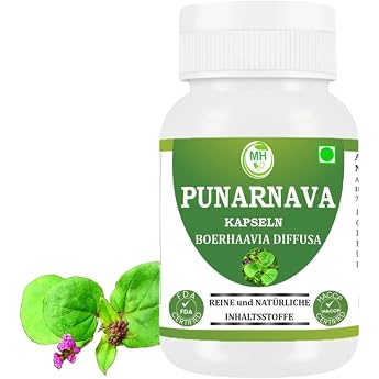 Punarnava Capsules Boerhaavia Diffusa 500 mg - 60 Vegan Capsules Herbal Wellness Supplement Natural Detox & Cleaning Formula Pack of 1