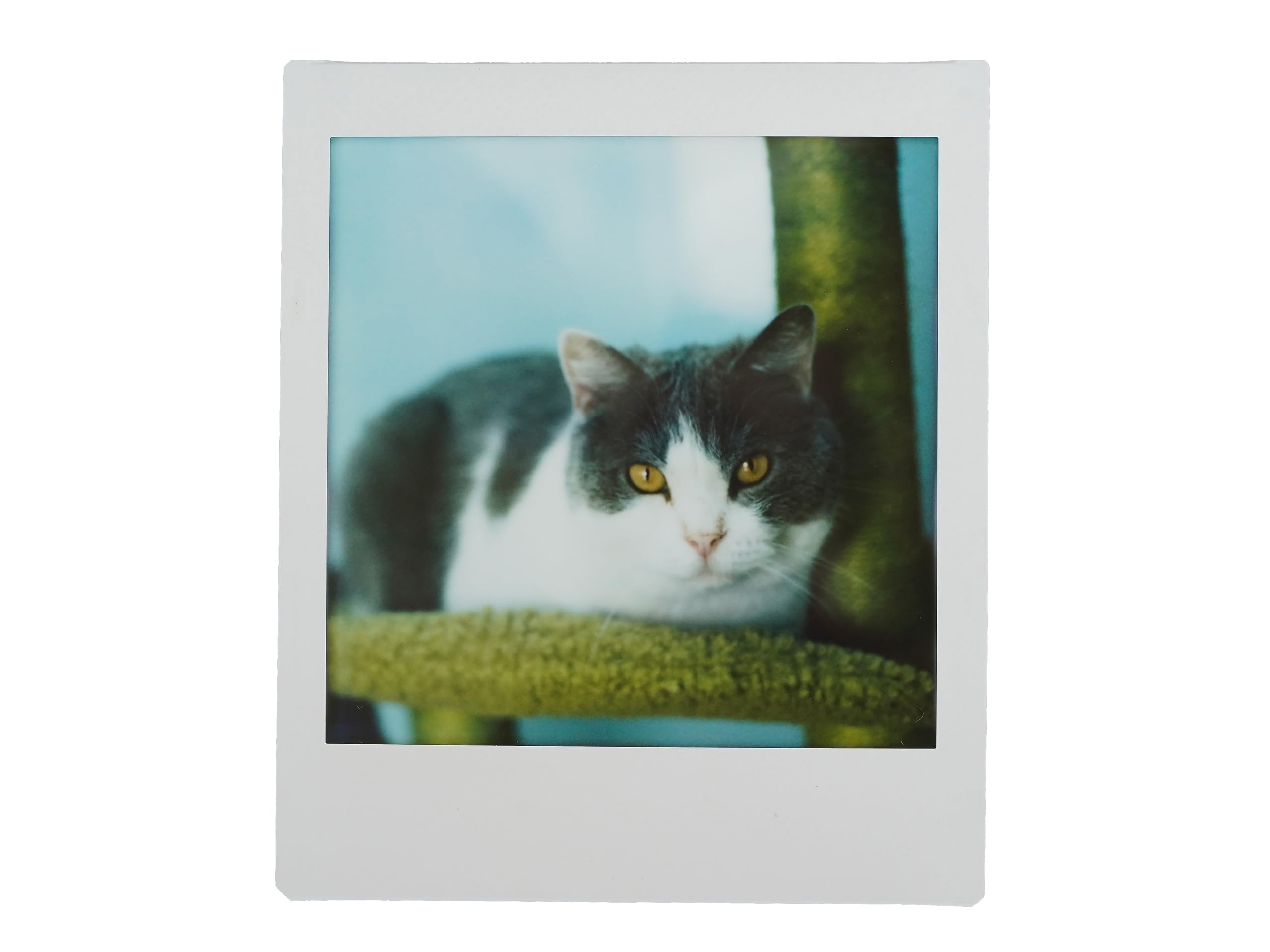 NONS Instant Back-H1P für Hasselblad (Instax Square Film) Set mit Viewfinder Frame Space