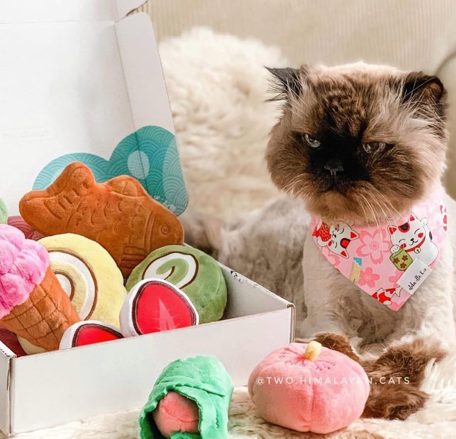 Yeowww! Duckyworld 100% Organic Flower Leaf Catnip Cat Toy Butterflies (1 Toy, Red)