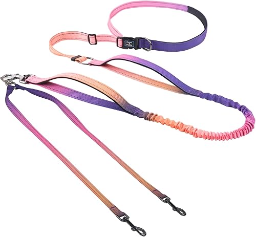 Miniatura 19 de Roses&Poetry - Correa para perro manos libres para perros medianos y grandes, resistente, sin tirón, correa elástica para correr y pasear, con