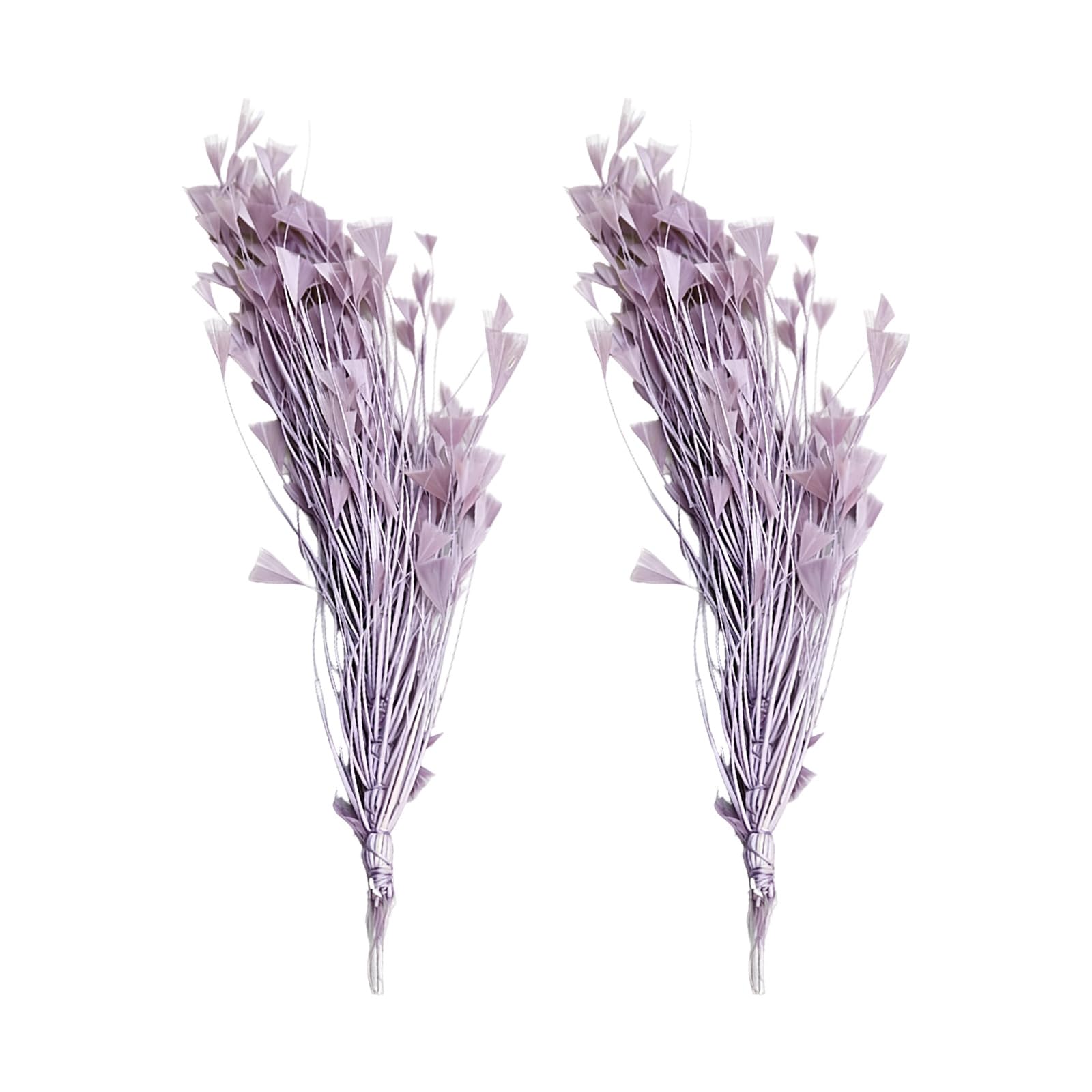 Kaeltsyn 2PCS Natural Plumage Ornaments with Floral Wire Base for Projects and Wedding Decoration Celebratory Down Embellishments