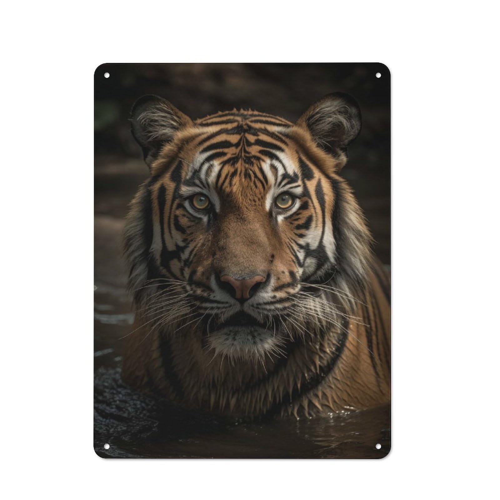 Tiger Wildlife Portrait Metal Wall Plaque 40x30cm, Character Room Wall Plaque for Hallway, Home Bar, Garage Or Study