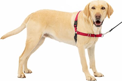 Arnés de paseo fácil de PetSafe, L, RojoNegro