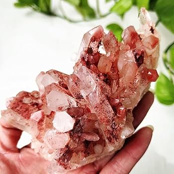 61hmlXJTaOL._AC_UF350,