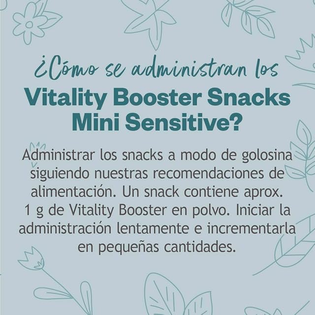 Foto 5 de 6 de Grau - The Original - Hokamix Vitality Booster Snack Mini Sensitive, Pack de 1 (1 x 400g)