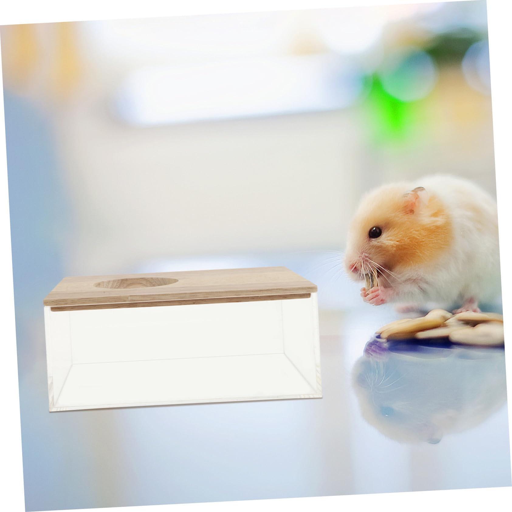 SEWACC Mehrzweck Hamster Sandbad Box Transparent Chinchilla Badebecken Rechteckig Kleintier Badewanne mit Glatten Kanten Praktisch und Leicht zu Reinigen für Nagetiere