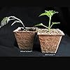 Product Photo 9