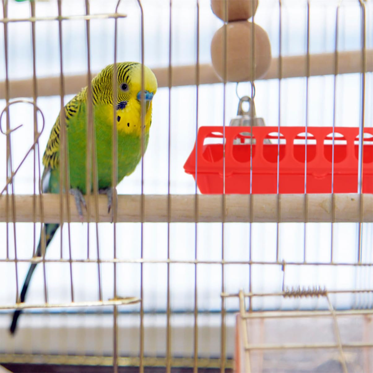 Confezione da 4 mangiatoie per polli, in plastica, multifunzionali, per pulcini e colombe, ideale per fattorie in cortile e amanti degli uccelli