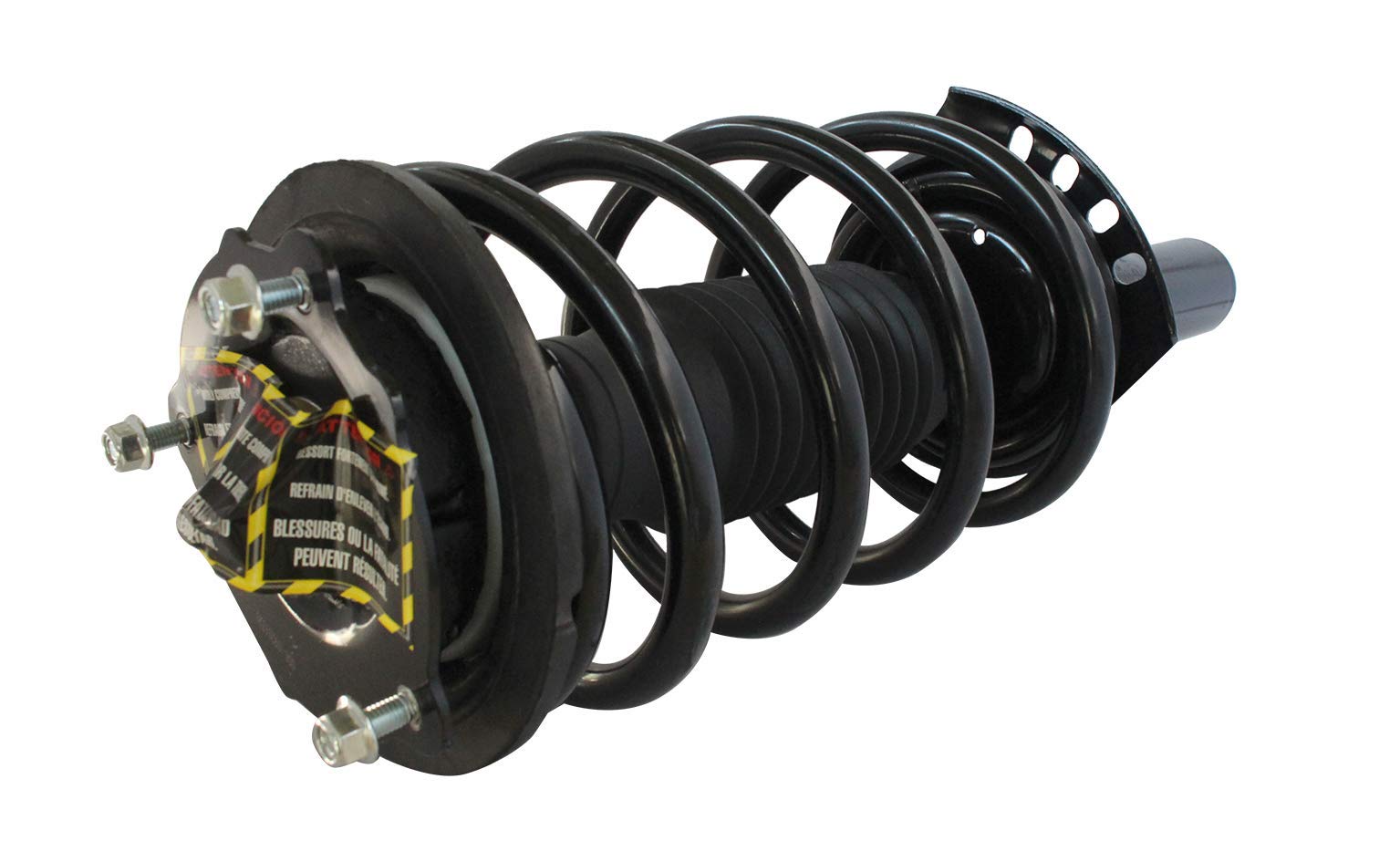 Loaded Strut and Coil Spring Assembly