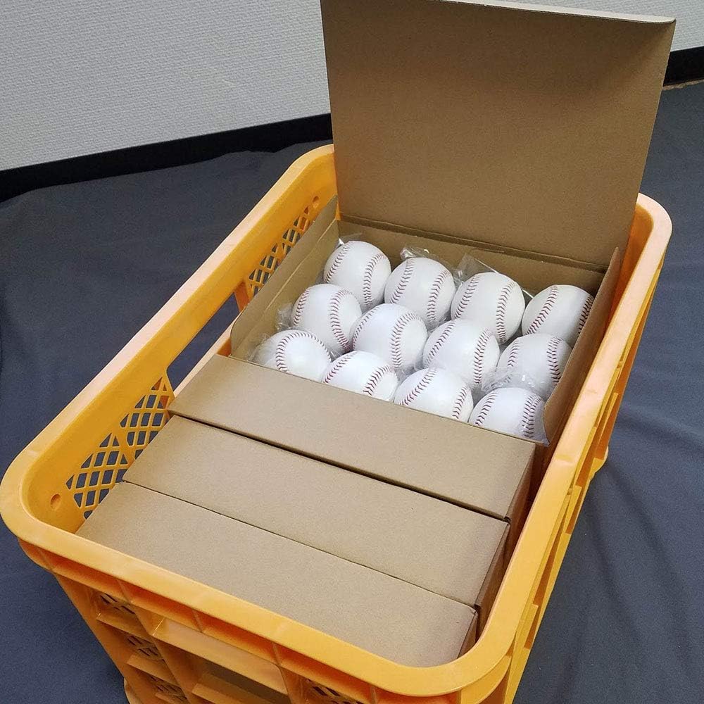 硬式練習球(中古)ボールケース付き Amazon | 野球 硬式ボール 練習球 中古 2球【国産】再生ボール